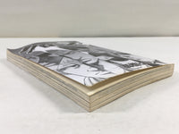 AAA2058 Crows Vol.16 Japanese Manga