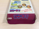 Tombs & Treasure Taiyou no Shinden Asteka 2 BOXED NES Famicom Japan - UE4465