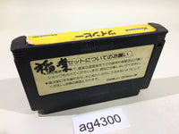 AG4300 Twin Bee NES Famicom Japan