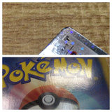 CE2881 Cinccino - SC 019/020 Pokemon Card TCG Japan