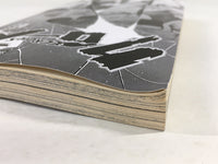 AAA2058 Crows Vol.16 Japanese Manga