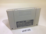 Las Vegas Dream In Golden Paradise SNES Super Famicom Japan - SH8128