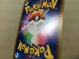 CE4695 Reshiram Charizard tag team GX RR SM12a 016/173 Pokemon Card TCG Japan