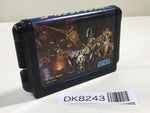 DK8243 Golden Axe II 2 Mega Drive Genesis Japan