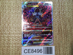 CE8496 Hisuian Samurott VSTAR SAR s12a 230/172 Pokemon Card TCG Japan