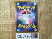 CE8496 Hisuian Samurott VSTAR SAR s12a 230/172 Pokemon Card TCG Japan