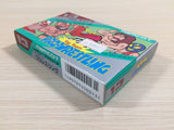 Tag Team Pro Wrestling BOXED NES Famicom Japan - UE4009