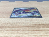 CE6496 Garchomp V SR s9a 079/067 Pokemon Card TCG Japan