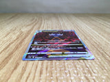 CE8496 Hisuian Samurott VSTAR SAR s12a 230/172 Pokemon Card TCG Japan