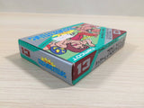 Tag Team Pro Wrestling BOXED NES Famicom Japan - UE4009