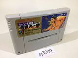 Super Oozumou Nessen Dai Ichiban Sumo SNES Super Famicom Japan - SJ3349