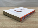 AAA1064 Tsuribaka Nisshi Vol.18 Japanese Manga