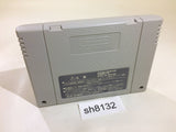 Pro Yakyuu Nettou Puzzle Stadium Baseball SNES Super Famicom Japan - SH8132