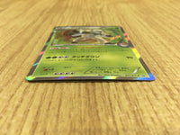 CE4097 Chesnaught PROMO PROMO 071/XY-P Pokemon Card TCG Japan