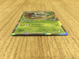 CE4097 Chesnaught PROMO PROMO 071/XY-P Pokemon Card TCG Japan