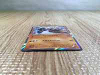 CE5297 Landorus PROMO PROMO 060/XY-P Pokemon Card TCG Japan