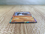 CE5297 Landorus PROMO PROMO 060/XY-P Pokemon Card TCG Japan