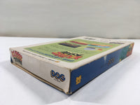DK8072 Tobidase Daisakusen BOXED Famicom Disk Japan