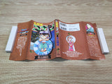AAA1293 Case Closed Vol.17 Japanese Manga