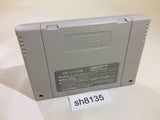 Super Shanghai Dragon's Eye SNES Super Famicom Japan - SH8135