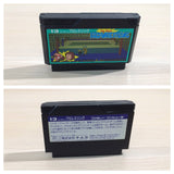 Tag Team Pro Wrestling BOXED NES Famicom Japan - UE4009
