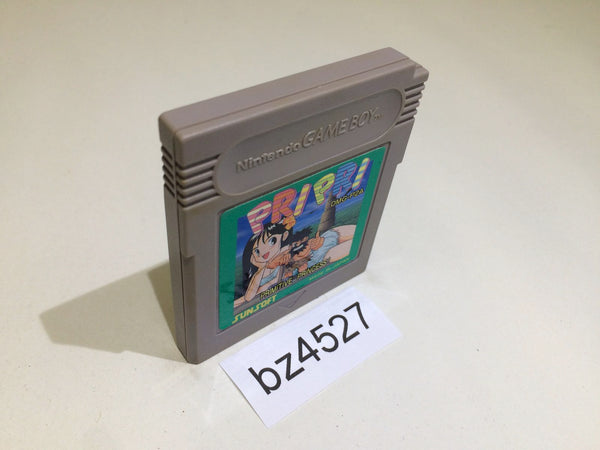 BZ4527 Pri Pri Primitive Princess! GameBoy Game Boy Japan