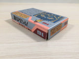 Tower of Babel BOXED NES Famicom Japan - UE4010
