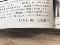 AAA1293 Case Closed Vol.17 Japanese Manga