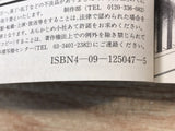AAA1293 Case Closed Vol.17 Japanese Manga