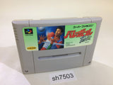 Volleyball Twin SNES Super Famicom Japan - SH7503