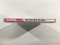 dk3438 Winds of Thunder SUPER CD ROM 2 PC Engine Japan