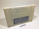 Populous SNES Super Famicom Japan - SI4893