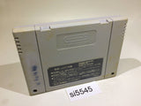 Las Vegas Dream In Golden Paradise SNES Super Famicom Japan - SI5545