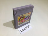 BZ4530 Ishida Yoshio Tsumego Paradise Igo GameBoy Game Boy Japan