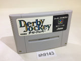 Derby Jockey Kishu Ou he no Michi Keiba SNES Super Famicom Japan - SH9143