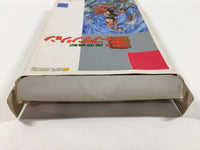 DK1762 Deep Dungeon BOXED Famicom Disk Japan