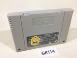 Super Fire Pro Wrestling SNES Super Famicom Japan - SI8114