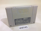 Derby Jockey Kishu Ou he no Michi Keiba SNES Super Famicom Japan - SH9143