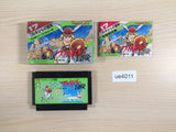 Valkyrie no Boken Toki no Kagi Densetsu BOXED NES Famicom Japan - UE4011