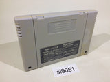Zen Nippon ProWrestling SNES Super Famicom Japan - SI9051