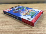 FH5632 Kaijuu no Shima Amazing Island BOXED GameCube Japan