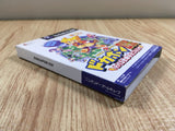 FH7264 Dokapon DX Wataru Sekai wa Oni Darake BOXED GameCube Japan