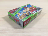 Valkyrie no Boken Toki no Kagi Densetsu BOXED NES Famicom Japan - UE4011