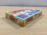 UE5792 Tottoko Hamutaro 3 BOXED GameBoy Advance Japan
