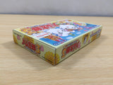UE5792 Tottoko Hamutaro 3 BOXED GameBoy Advance Japan