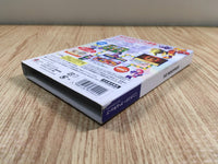 FH7264 Dokapon DX Wataru Sekai wa Oni Darake BOXED GameCube Japan