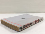 AAA2062 Bastard!! The Dark God of Destruction Vol.19 Japanese Manga