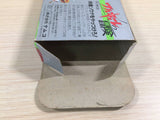 Valkyrie no Boken Toki no Kagi Densetsu BOXED NES Famicom Japan - UE4011