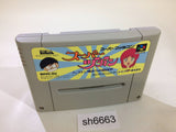 Super Zugan Mahjong SNES Super Famicom Japan - SH6663