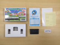 UE5793 Tottoko Hamutaro 4 BOXED GameBoy Advance Japan